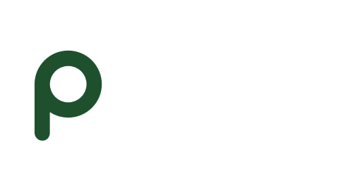 Professional Website Nepal